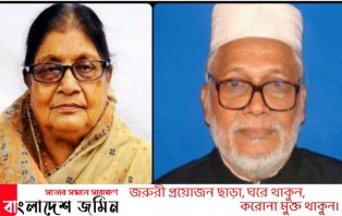 সংসদ সদস্য হাবিবুর রহমান মোল্লার মৃত্যুতে সাজেদা চৌধুরীর শোক