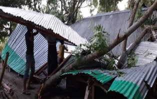 সালথায় কালবৈশাখী ঝ‌ড়ে লন্ডভন্ড একটি গ্রাম