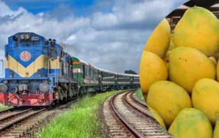  আম ব্যবসায়ীদের উপহার ‘ম্যাঙ্গো স্পেশাল ট্রেন’