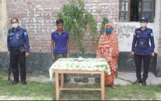 সালথায় গাঁজার গাছসহ দুই স্থান থেকে ২জনকে আটক