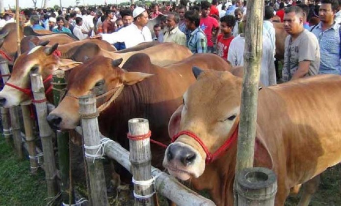 রাজধানীর ২৪ স্থানে এবার কোরবানির হাট