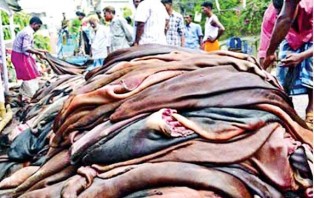 ২৯ শতাংশ কমিয়ে চামড়ার দাম নির্ধারণ