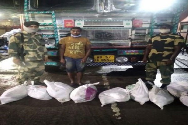 ১২৬ কেজি বাংলাদেশি ইলিশ জব্দ, চোরাই পথে ভারতে নেয়ার সময়
