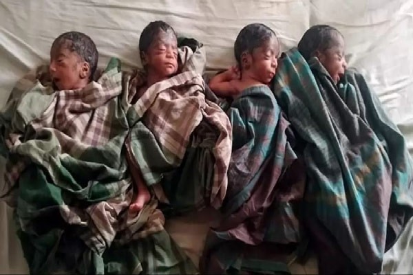 চার সন্তানের জন্ম একসঙ্গে