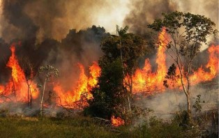 এবার আরো ভয়াবহভাবে পুড়ছে 'পৃথিবীর ফুসফুস'