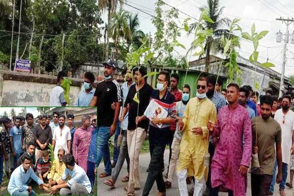 উপজেলা ছাত্রলীগের ৭৪টি বৃক্ষরোপন