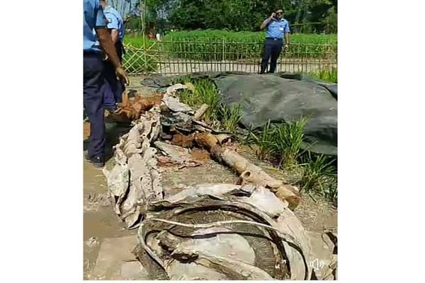 লালমনিরহাটে পুকুর খনন করতে গিয়ে মাটির নিচে দ্বিতীয় বিশ্ব যুদ্ধ বিমানের ধ্বংসাবশেষের সন্ধান