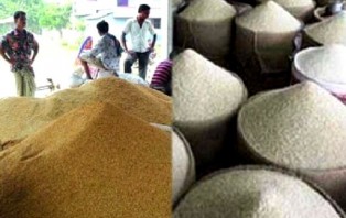 ধান ২৬, চাল ৩৭ টাকা দরে কিনবে সরকার