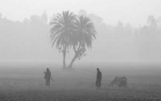 পাঁচ অঞ্চল দিয়ে বইছে শৈত্যপ্রবাহ