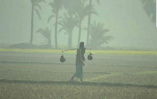 আসছে মৃদু শৈত্যপ্রবাহ
