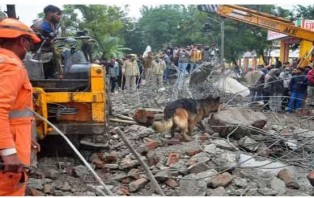 মরদেহ পোড়ানোকালে হঠাৎ ভেঙ্গে পড়ল ছাদ, নিহত ১৯