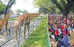 মিরপুর চিড়িয়াখানাও বন্ধ ঘোষণা
