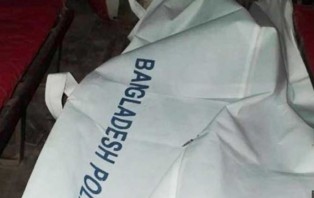 ধারের টাকা নিয়ে বোনের হাতে ভাই খুন