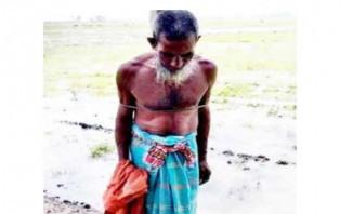 সিংড়ায় কৃষককে গাছে বেঁধে পেটালেন ইউপি সদস্য