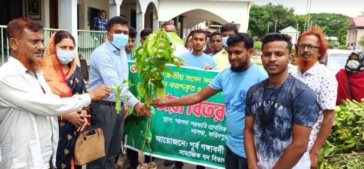  উপনেতার পক্ষ থেকে বিনামুল্যে গাছের চারা বিতরণ
