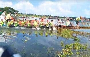 বোয়ালমারীতে গ্রাম বাংলার ঐতিহ্যবাহী নৌকা বাইচ অনুষ্ঠিত