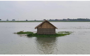 ভারতীয় ঢলে তলিয়েছে ১২৩ হেক্টর ফসলি জমি  