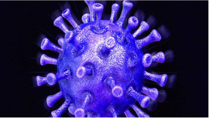  শনাক্ত ২৭, মৃত্যু নেই