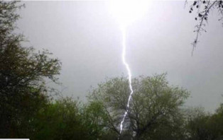 বজ্রপাতে দুজনের মৃত্যু