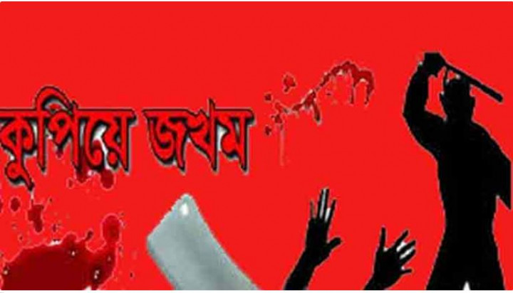 ফরিদপুরের সালথায় যুবককে কুপিয়ে জখম