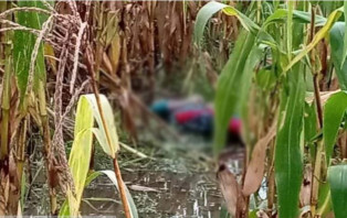 ভুট্টা খেত থেকে স্কুলছাত্রীর মরদেহ উদ্ধার