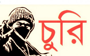 'ভাই, আপনার স্যান্ডেল কুকুরে নিয়ে গেছে' বলে দোকানে চুরি