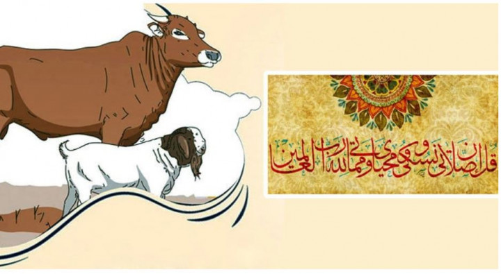 কোরবানির পশু জবাইয়ের সুন্নত পদ্ধতি