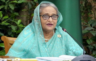মাছের কাঁটা নরম করার রেসিপি দিলেন প্রধানমন্ত্রী