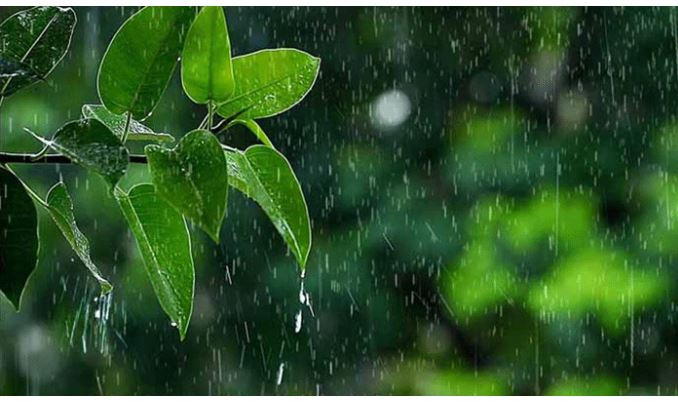দেশের যেসব জায়গায় বৃষ্টি হতে পারে আজ