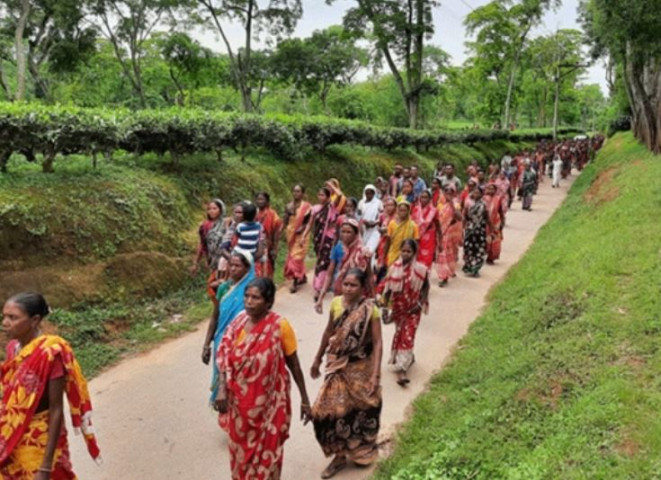 চা শ্রমিকদের দৈনিক মজুরি বাড়ল ২৫ টাকা, ধর্মঘট প্রত্যাহার