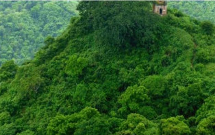 পাহাড়ে অস্ত্র তৈরির কারখানার সন্ধান, আটক ১
