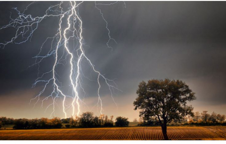 রংপুরের পীরগঞ্জে বজ্রপাতে ৫ জনের মৃত্যু