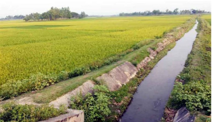 দুই কিশোরী বাউল শিল্পীকে দলবদ্ধ ধর্ষণের অভিযোগ