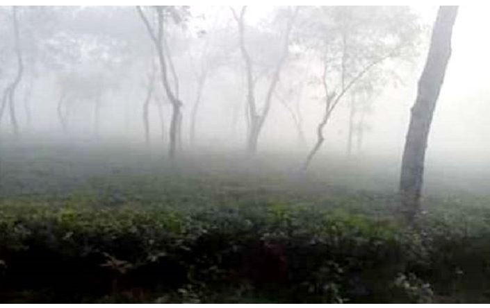 দেশের সর্বনিম্ন তাপমাত্রা শ্রীমঙ্গলে