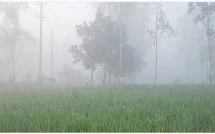 চুয়াডাঙ্গায় ফের শৈত্যপ্রবাহ, ফসলের ক্ষতির শঙ্কায় কৃষক