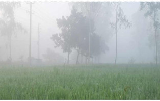 চুয়াডাঙ্গায় ফের শৈত্যপ্রবাহ, ফসলের ক্ষতির শঙ্কায় কৃষক