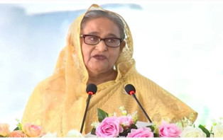 মাঠে কাজ করা, ফসল ফলানোয় লজ্জার কিছু নেই : প্রধানমন্ত্রী