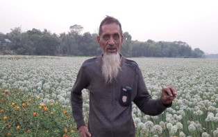 পেঁয়াজ বীজের বাম্পার ফলনে খুশি সদরপুরের কৃষক আইয়ুব আলী খান