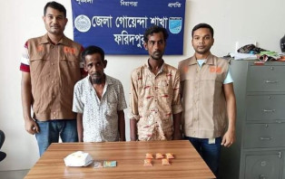 সালথায় দুই মাদক ব্যবসায়ীকে গ্রেপ্তার করেছে ডিবি পুলিশ