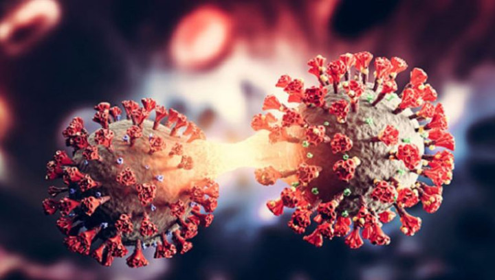 দেশে গত ২৪ ঘণ্টায় ৩৩ জনের করোনা শনাক্ত