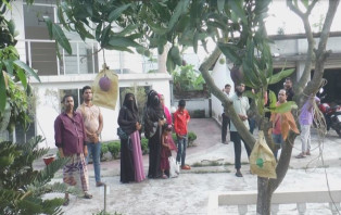 এক গাছে ৮ জাতের আম!