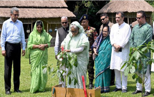 সবাইকে অন্তত একটি গাছ লাগানোর আহ্বান প্রধানমন্ত্রীর