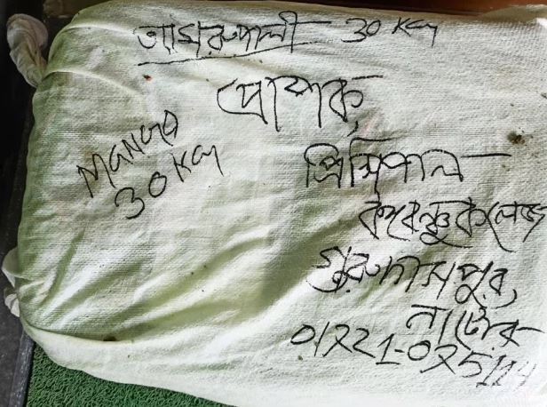 কলেজে অধ্যক্ষের নামে আসা আমের পার্সেলে বোমা!