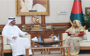 বাংলাদেশের জ্বালানি খাতে বিনিয়োগ করতে চায় আমিরাত