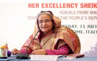 অপপ্রচারের বিরুদ্ধে রাষ্ট্রদূতদের সতর্ক থাকার আহ্বান প্রধানমন্ত্রীর