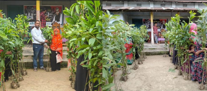 রাণীগাঁও গ্রামীণ ব্যাংক সদস্যদের মাঝে ১৩ হাজার চারা বিতরণ
