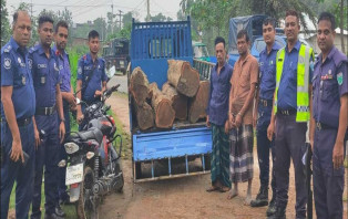 চুনারুঘাটে পুলিশের অভিযানে সেগুন গাছসহ আটক ৩ 