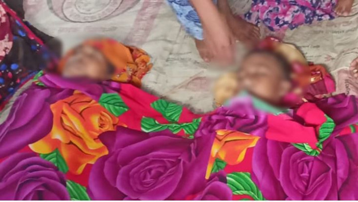 লোহাগড়ায় পুকুরে ডুবে নানি-নাতির মৃত্যু