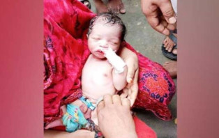কান্না শুনে জঙ্গলে গিয়ে পাওয়া গেল ফুটফুটে নবজাতক