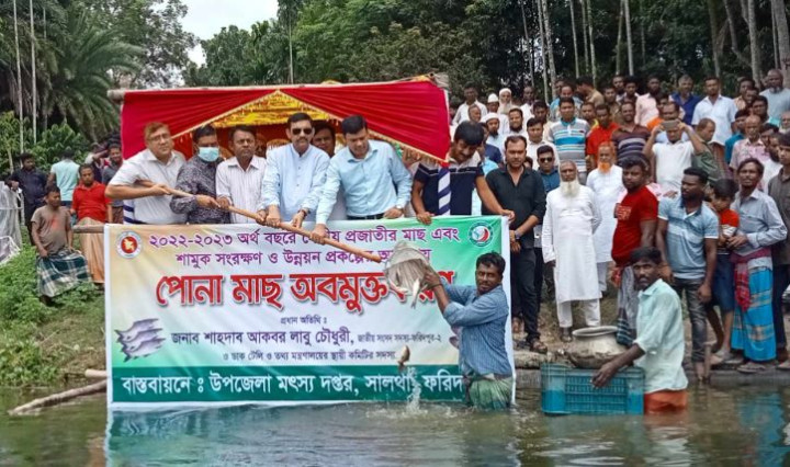 সালথায় দেশীয় প্রজাতির পোনা মাছ অবমুক্তকরণ